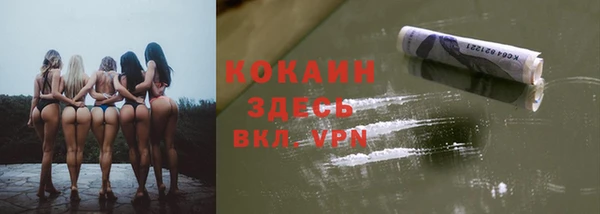 шишки Елизово