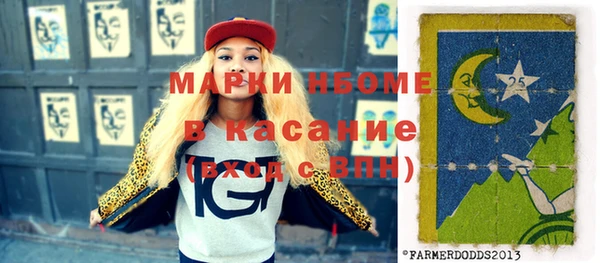 ПСИЛОЦИБИНОВЫЕ ГРИБЫ Ельня